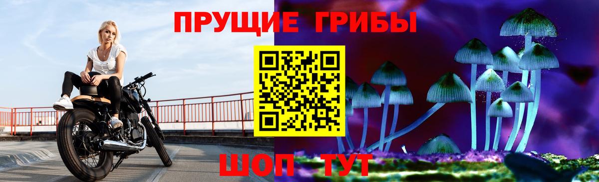 Галлюциногенные грибы MAGIC MUSHROOMS  Вход с VPN  Новый Уренгой 
