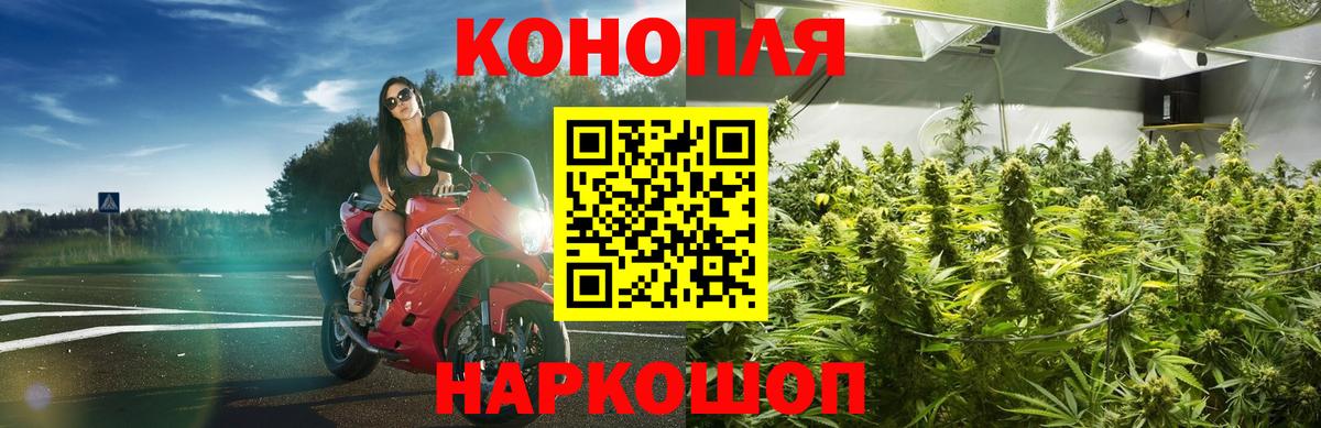 Конопля марихуана Новый Уренгой